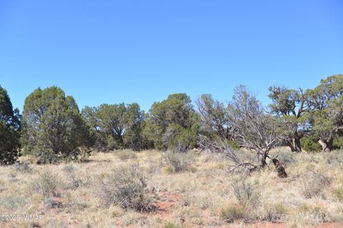 Tiny photo for 3987 Aztec Road, Snowflake, AZ 85937 (MLS # 256007)