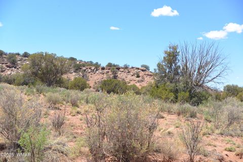 Tiny photo for 3987 Aztec Road, Snowflake, AZ 85937 (MLS # 256007)