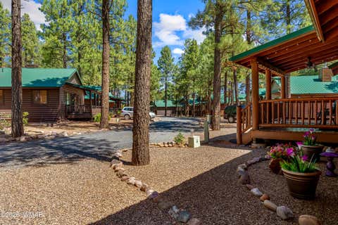 Tiny photo for 2715 High Pine Loop, Overgaard, AZ 85933 (MLS # 262473)