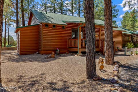 Tiny photo for 2715 High Pine Loop, Overgaard, AZ 85933 (MLS # 262473)