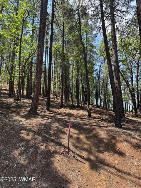 Tiny photo for 6319 Bent Oak Drive, Pinetop, AZ 85935 (MLS # 254929)