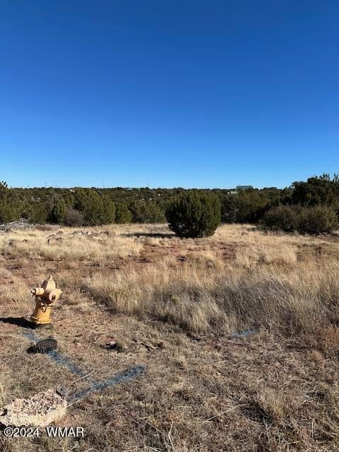 Tiny photo for 8420 Silver Creek Drive, Show Low, AZ 85901 (MLS # 253968)