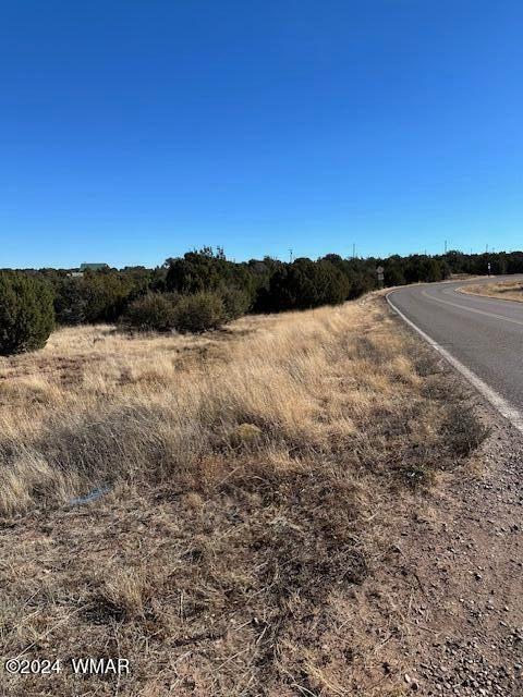 Tiny photo for 8420 Silver Creek Drive, Show Low, AZ 85901 (MLS # 253968)