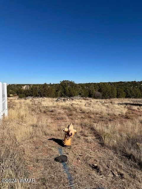 Photo of 8420 Silver Creek Drive, Show Low, AZ 85901 (MLS # 253968)