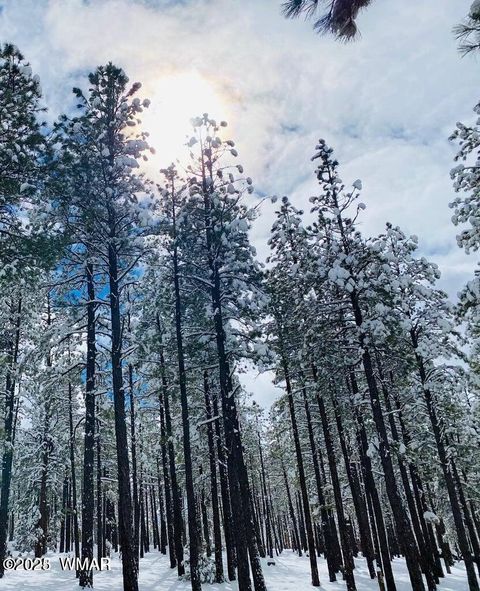 Tiny photo for 6578 Pinto Circle, Pinetop, AZ 85935 (MLS # 256080)