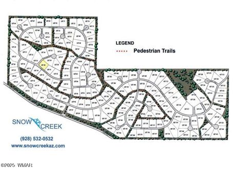 Tiny photo for 1901 S Little Creek Court, Show Low, AZ 85901 (MLS # 257526)