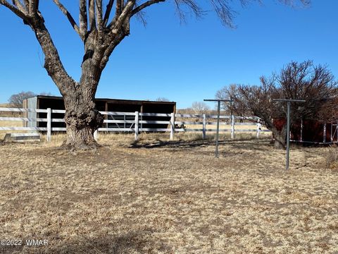 Tiny photo for 260 W Highway 180, Springerville, AZ 85938 (MLS # 239242)