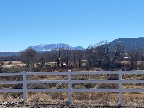 Tiny photo for 260 W Highway 180, Springerville, AZ 85938 (MLS # 239242)