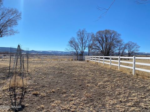 Tiny photo for 260 W Highway 180, Springerville, AZ 85938 (MLS # 239242)