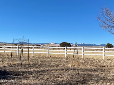 Tiny photo for 260 W Highway 180, Springerville, AZ 85938 (MLS # 239242)