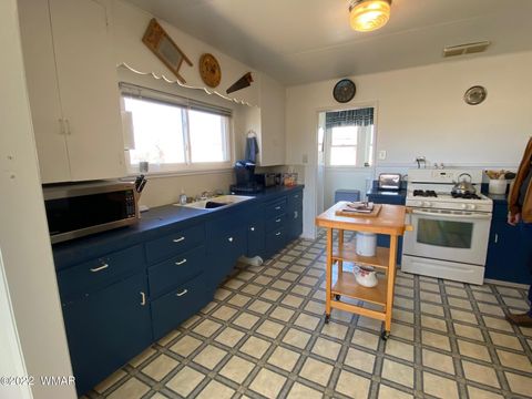 Tiny photo for 260 W Highway 180, Springerville, AZ 85938 (MLS # 239242)
