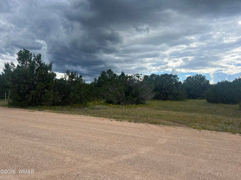 Tiny photo for TBD N3119, Vernon, AZ 85940 (MLS # 263125)