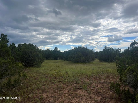 Tiny photo for TBD N3119, Vernon, AZ 85940 (MLS # 263125)