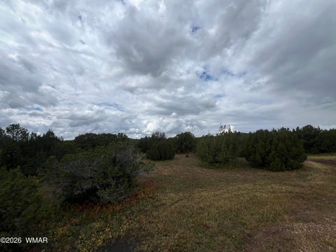 Tiny photo for TBD N3119, Vernon, AZ 85940 (MLS # 263125)