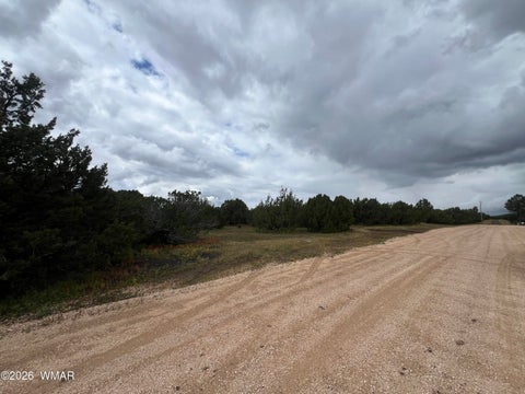 Tiny photo for TBD N3119, Vernon, AZ 85940 (MLS # 263125)