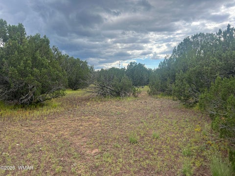 Tiny photo for TBD N3119, Vernon, AZ 85940 (MLS # 263125)