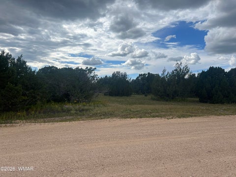 Tiny photo for TBD N3119, Vernon, AZ 85940 (MLS # 263125)