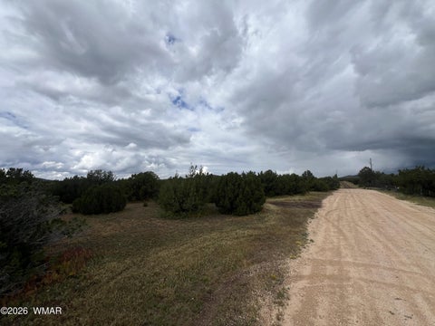 Tiny photo for TBD N3119, Vernon, AZ 85940 (MLS # 263125)
