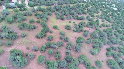 Tiny photo for TBD N3119, Vernon, AZ 85940 (MLS # 263125)