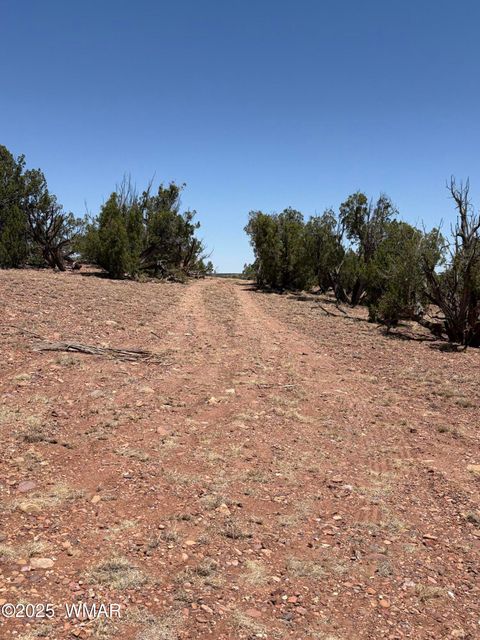 Tiny photo for TBD LAZY O RD, Show Low, AZ 85901 (MLS # 257268)