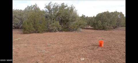 Tiny photo for TBD LAZY O RD, Show Low, AZ 85901 (MLS # 257268)