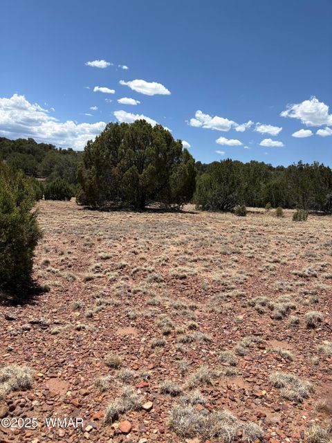 Tiny photo for TBD LAZY O RD, Show Low, AZ 85901 (MLS # 257268)