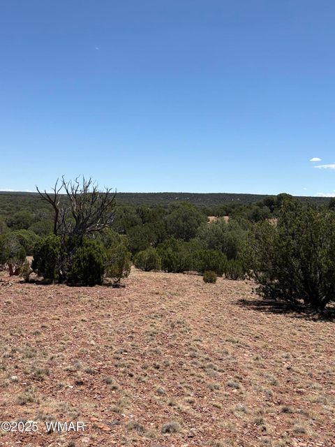 Tiny photo for TBD LAZY O RD, Show Low, AZ 85901 (MLS # 257268)