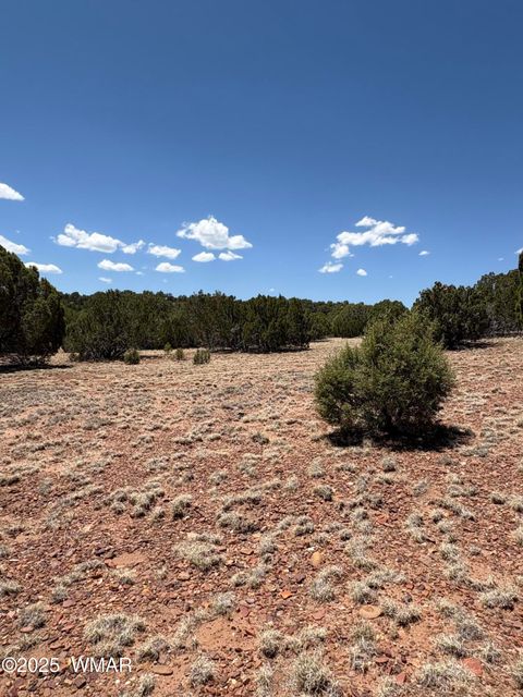Tiny photo for TBD LAZY O RD, Show Low, AZ 85901 (MLS # 257268)