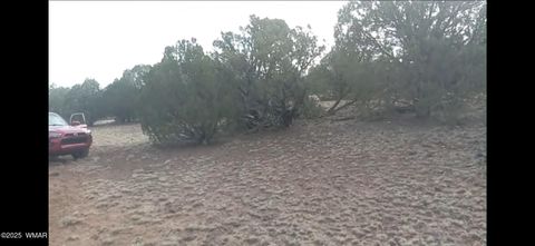 Tiny photo for TBD LAZY O RD, Show Low, AZ 85901 (MLS # 257268)