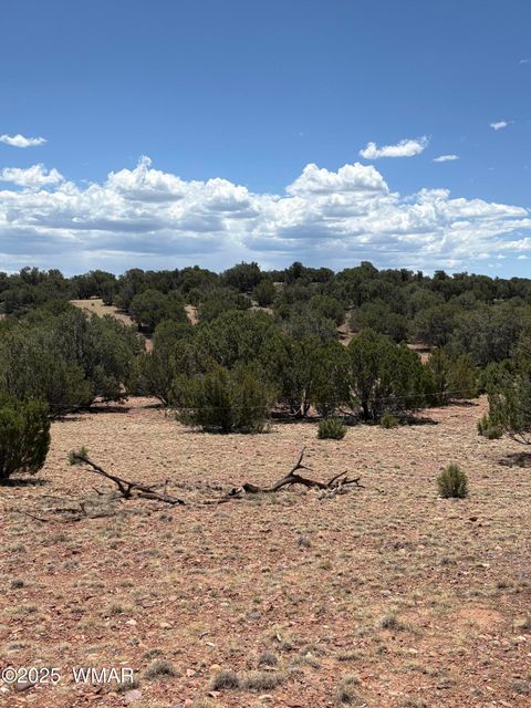 Tiny photo for TBD LAZY O RD, Show Low, AZ 85901 (MLS # 257268)