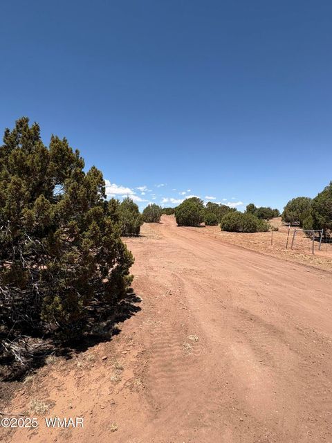 Tiny photo for TBD LAZY O RD, Show Low, AZ 85901 (MLS # 257268)