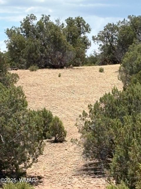 Tiny photo for TBD LAZY O RD, Show Low, AZ 85901 (MLS # 257268)