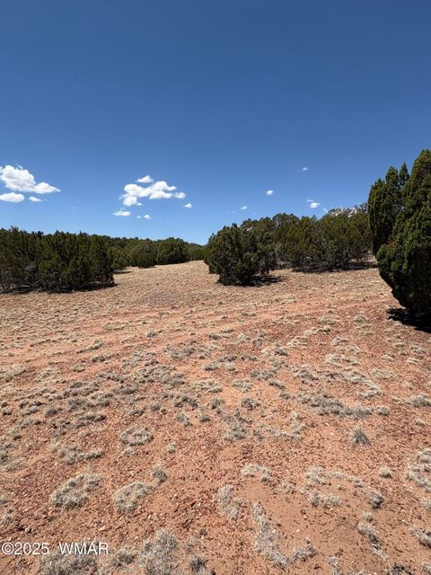 Tiny photo for TBD LAZY O RD, Show Low, AZ 85901 (MLS # 257268)