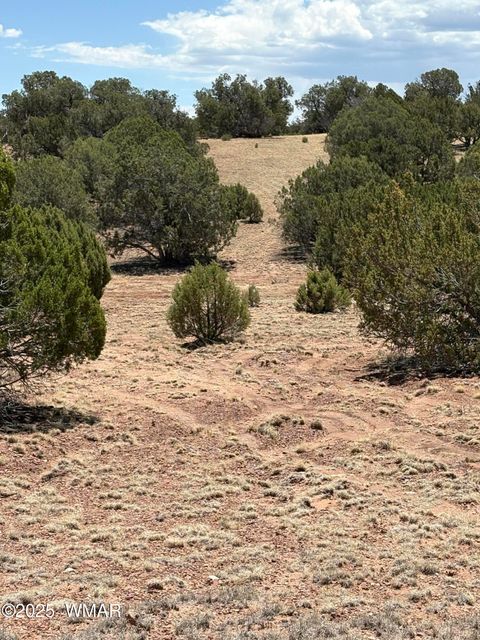 Tiny photo for TBD LAZY O RD, Show Low, AZ 85901 (MLS # 257268)