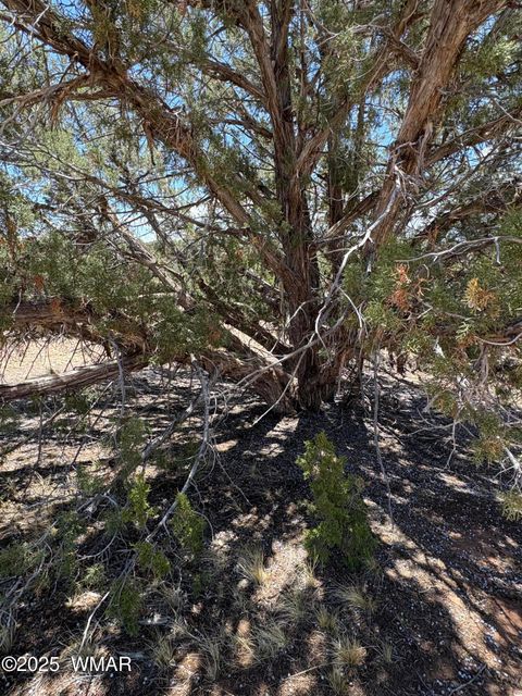 Tiny photo for TBD LAZY O RD, Show Low, AZ 85901 (MLS # 257268)