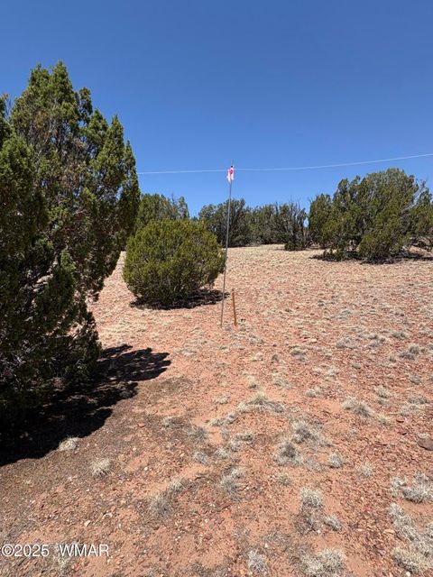Tiny photo for TBD LAZY O RD, Show Low, AZ 85901 (MLS # 257268)