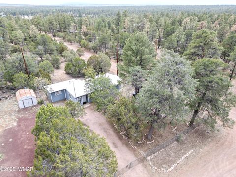 Tiny photo for 2853 Markham Road, Overgaard, AZ 85933 (MLS # 255915)