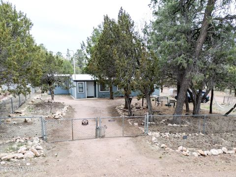 Photo of 2853 Markham Road, Overgaard, AZ 85933 (MLS # 255915)