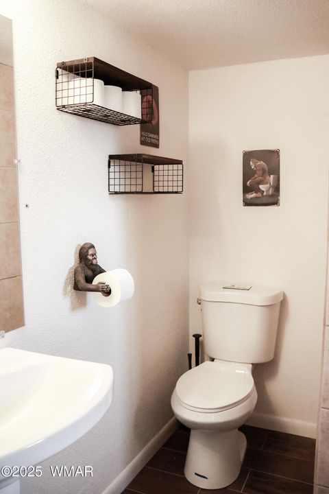 Tiny photo for 2853 Markham Road, Overgaard, AZ 85933 (MLS # 255915)