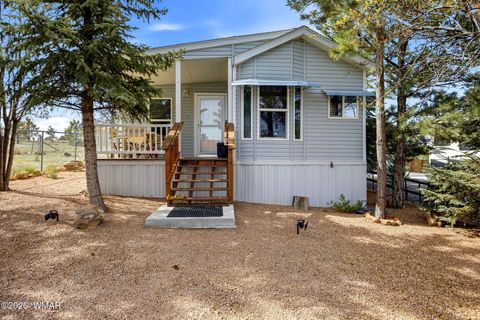 Photo of 2275 Old Crooks Trail, Overgaard, AZ 85933 (MLS # 260745)