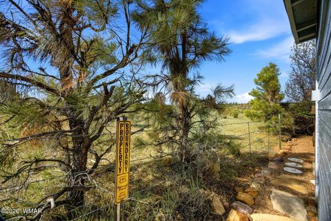 Tiny photo for 2275 Old Crooks Trail, Overgaard, AZ 85933 (MLS # 260745)