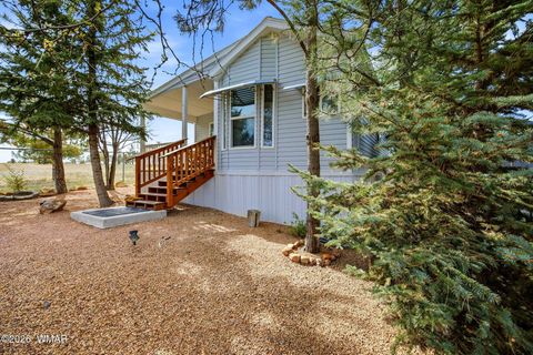 Tiny photo for 2275 Old Crooks Trail, Overgaard, AZ 85933 (MLS # 260745)