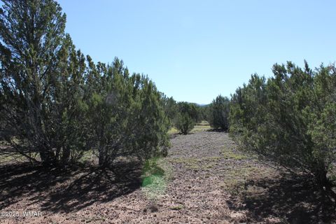Tiny photo for 22 Co Rd 3191, Vernon, AZ 85940 (MLS # 258350)