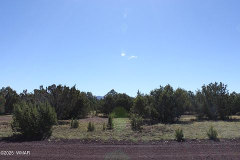 Tiny photo for 22 Co Rd 3191, Vernon, AZ 85940 (MLS # 258350)