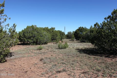 Tiny photo for 22 Co Rd 3191, Vernon, AZ 85940 (MLS # 258350)