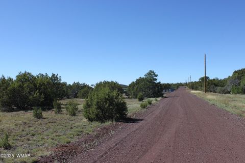 Tiny photo for 22 Co Rd 3191, Vernon, AZ 85940 (MLS # 258350)