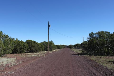Tiny photo for 22 Co Rd 3191, Vernon, AZ 85940 (MLS # 258350)