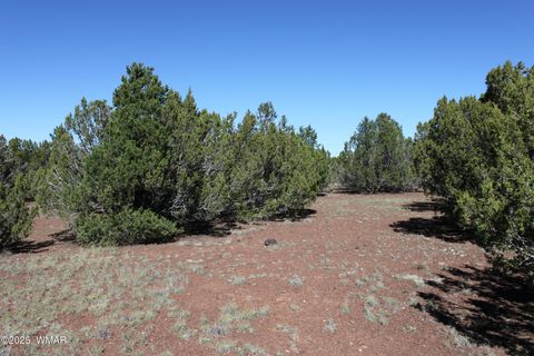 Tiny photo for 22 Co Rd 3191, Vernon, AZ 85940 (MLS # 258350)