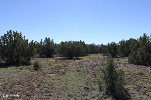 Tiny photo for 22 Co Rd 3191, Vernon, AZ 85940 (MLS # 258350)