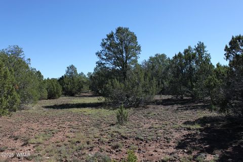 Tiny photo for 22 Co Rd 3191, Vernon, AZ 85940 (MLS # 258350)